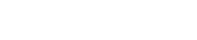 Critsite Logo